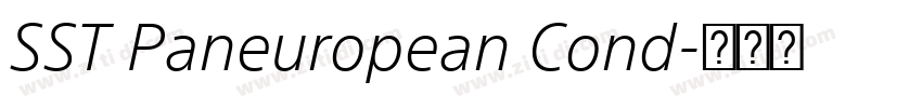 SST Paneuropean Cond字体转换